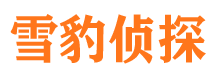 嘉鱼市侦探公司